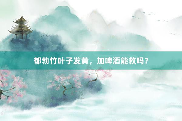 郁勃竹叶子发黄，加啤酒能救吗？